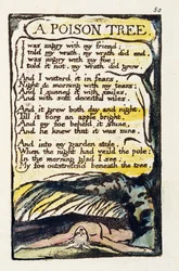 &39;A Poison Tree&39;, prato 50 (Bentley 49) de &39;Songs of Innocence e de Experience&39; (Bentley Copy L) 1789-94 (gravura elevada com caneta e wc)